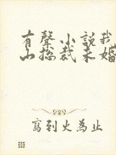 有声小说我的冰山总裁未婚妻