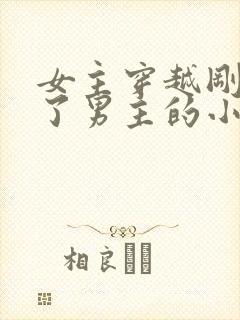 女主穿越刚好救了男主的小说