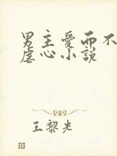 男主爱而不得的虐心小说