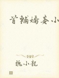 首辅娇妾小说封面