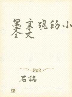 墨寒砚的小镇2全文封面