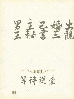 男主已婚出轨女主秘书三观不正小说