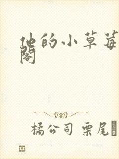 他的小草莓笔趣阁