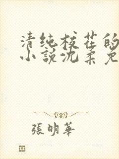 清纯校花的日常小说沈柔免费阅读封面