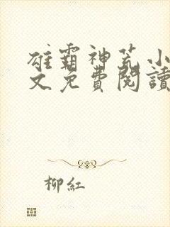 雄霸神荒小说全文免费阅读