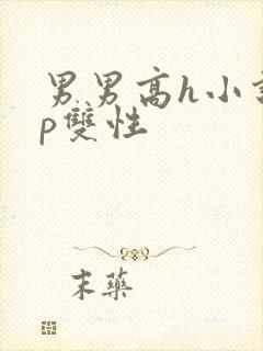 男男高h小说np双性