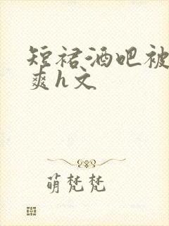 短裙酒吧被强好爽h文封面