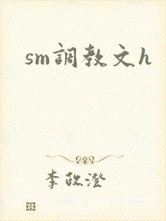 sm调教文h封面