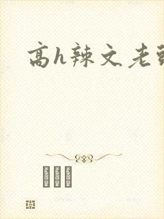 高h辣文老头