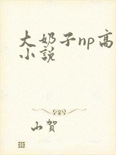 大奶子np高h小说