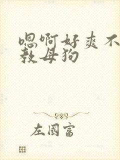 嗯啊好爽不要调教母狗封面