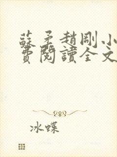 苏柔赵刚小说免费阅读全文