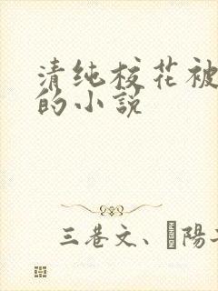 清纯校花被调教的小说封面