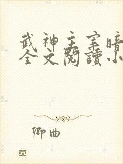 武神主宰暗魔师全文阅读小说