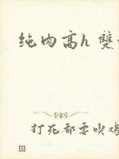 纯肉高h 双性
