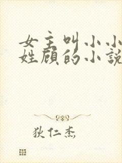 女主叫小小男主姓顾的小说