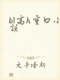 bl高h重口小说