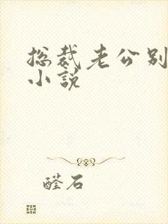 总裁老公别太坏小说