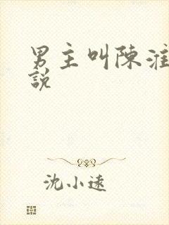 男主叫陈淮的小说封面