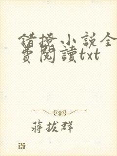 错撩小说全文免费阅读txt