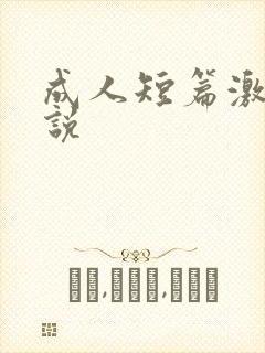 成人短篇激情小说