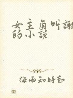 女主角叫谢琳琅的小说