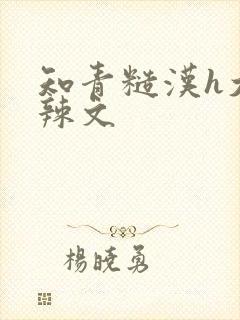 知青糙汉h大肉辣文