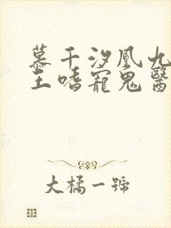 慕千汐凰九夜邪王嗜宠鬼医狂妃