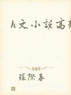 h文小说高辣文
