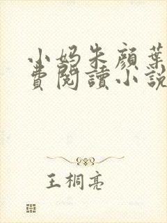 小妈朱颜叶巧免费阅读小说名