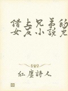 错上兄弟的女神女友小说免费阅读