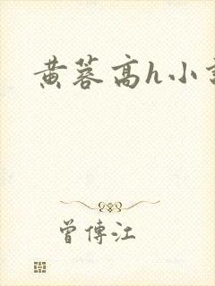 黄蓉高h小说