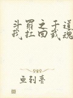 斗罗之千道流把我扛回武魂殿