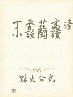 丁香花高清在线小说阅读