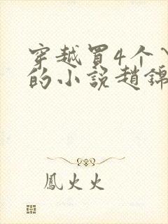 穿越买4个丫鬟的小说赵锦衣