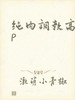 纯肉调教高hnp
