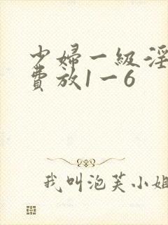 少妇一级淫片免费放1一6封面