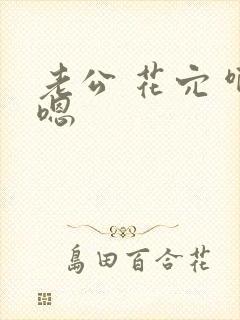 老公 花穴 啊嗯