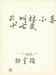 我叫林小喜今年十七岁
