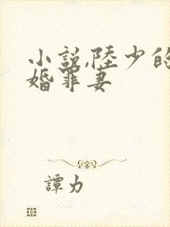 小说,陆少的隐婚罪妻