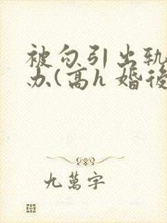 被勾引出轨怎么办(高h 婚后np)