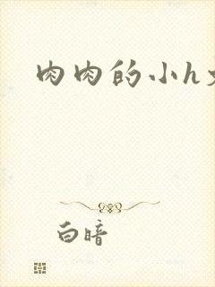 肉肉的小h文