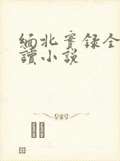 缅北实录全文阅读小说