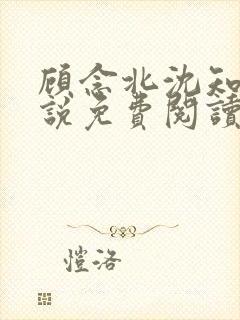 顾念北沈知宁小说免费阅读最新章节