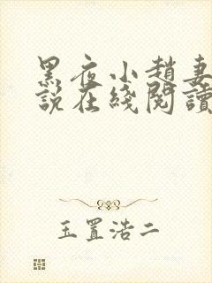 黑夜小赵妻子小说在线阅读封面