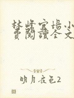 林峰官场小说免费阅读全文最新章节下载