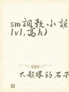 sm调教小说(1v1,高h)