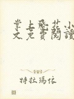 掌上飞花小说全文免费阅读笔趣阁封面