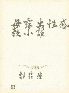 母露出性感被调教小说封面