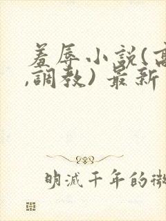 羞辱小说(高h,调教) 最新章节